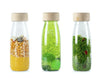 Nature Sensory Bottles by Petit Boum